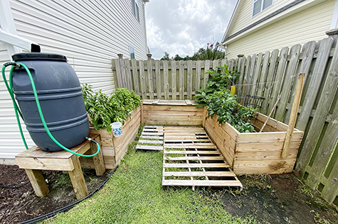 Lanvale Rental 17