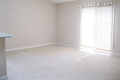 Carleton Place Townhome Unit 134 Rental 4